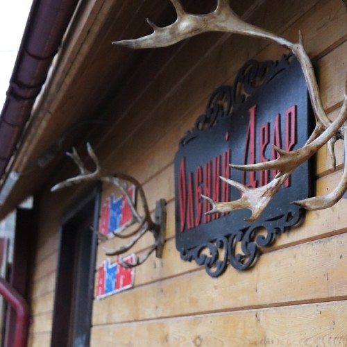 Северный экспресс-тур в мини-группе: Мурманск, Териберка и дополнительные активности на выбор