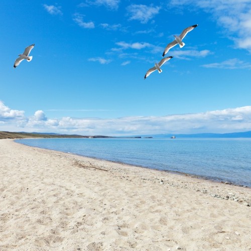 Мысы, бухты, предгорье и Ольхон: путешествие по живописным окрестностям Байкала