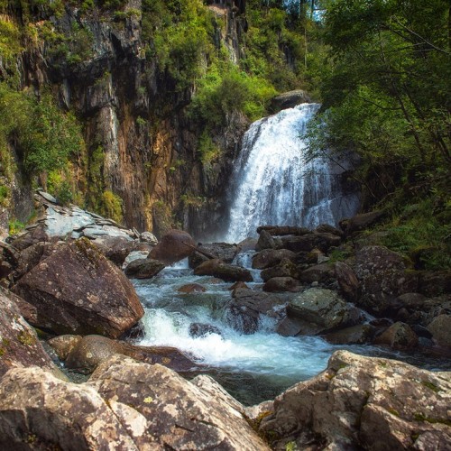 Выезд на Алтай в мини-группе: главные локации, места силы, погружение в культуру и спа