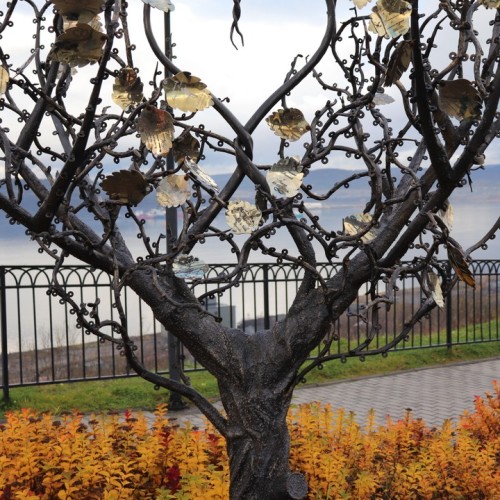 На Кольский в поисках китов и дельфинов мини-группой