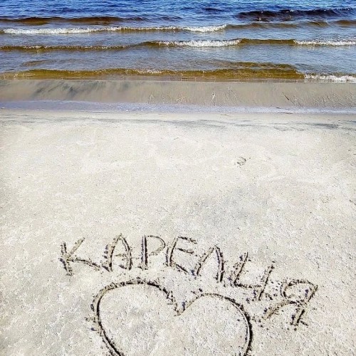 Перезагрузка в Приладожье с йогой, баней, сибирским чаном и сапами (всё включено)