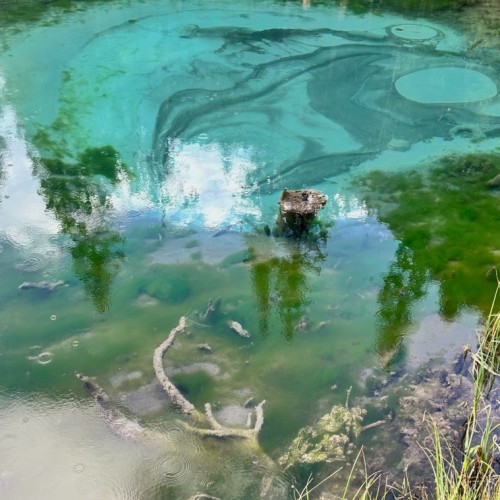 По Горному Алтаю с комфортом