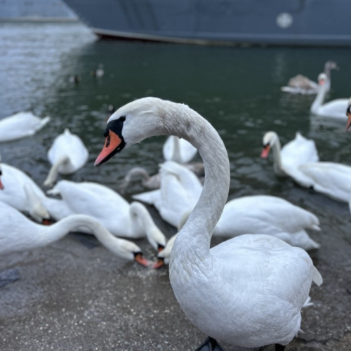 Персональная перезагрузка на Балтийской косе