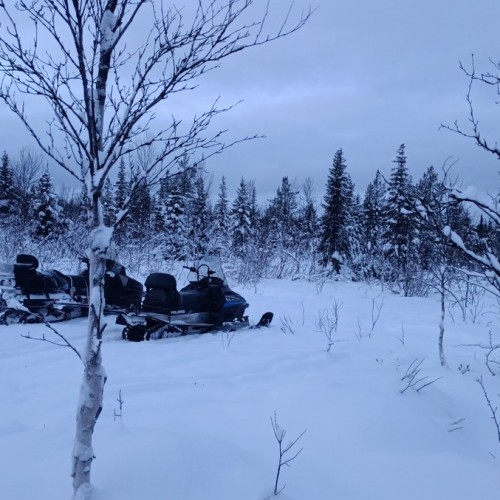 Снегоходные прогулки в лесу под Мурманском