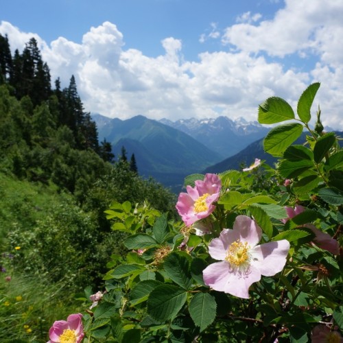 Треккинг-тур для активных по природным локациям Архыза без палаток