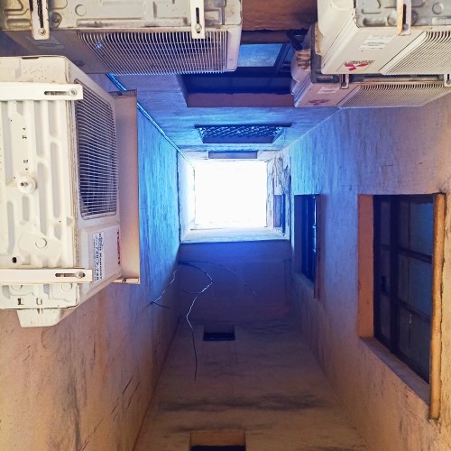 За фасадом: тайные уголки Петроградской стороны