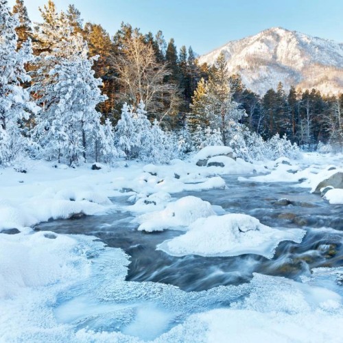 Сокровищница Прибайкалья: Байкальск, Листвянка и музей «Тальцы»