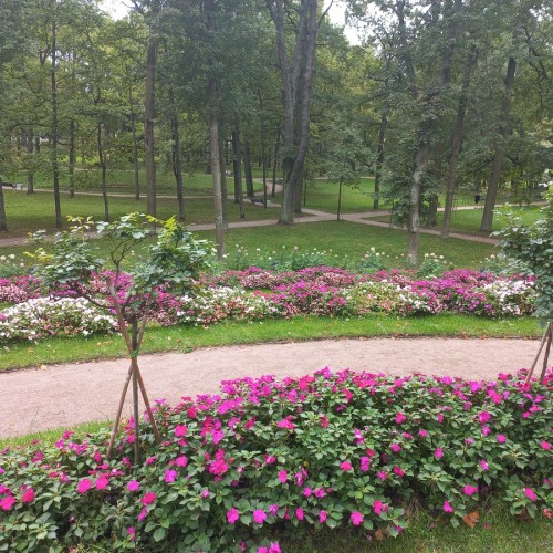 Дворцово-парковый ансамбль в Гатчине — из Петербурга