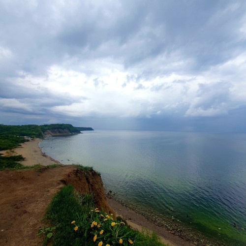 Янтарный путь: Балтийск, Арт-Деревня Витланд, Янтарный и Светлогорск