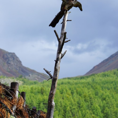 Тур по главным и редким местам Алтая на УАЗах: Чуйский тракт, горы, урочища, озёра и скалы