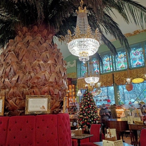 Новогодняя семейная квест-экскурсия «Спасти Рождество»