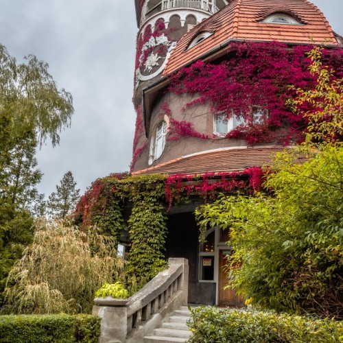 Индивидуальная перезагрузка на Куршской косе и увлекательные экскурсии