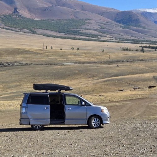 Сиреневые горы, Алтай и май: главные места во время цветения маральника в мини-группе (всё включено)