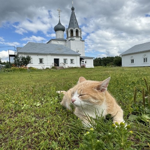 Русские пейзажи и шарм Прованса: Муром, Нижний Новгород и Гороховец за выходные