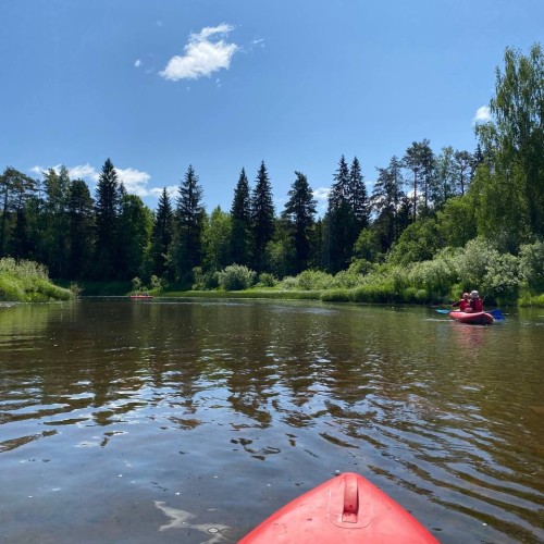 Очарование Медведицы: лёгкий сплав на байдарках (всё включено)