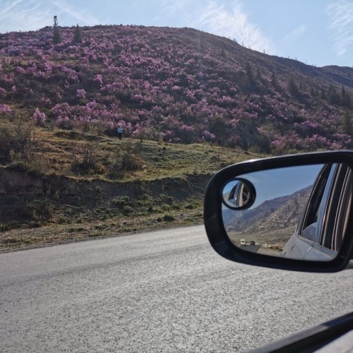 Счастье в горах! От Горно-Алтайска до Монголии через долину Актру: путешествие с треккингами