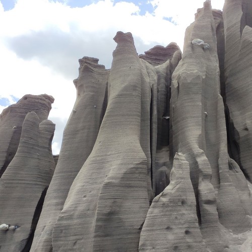 Перезагрузка на Алтае: топ локаций, заповедное озеро и моторафтинг по Катуни