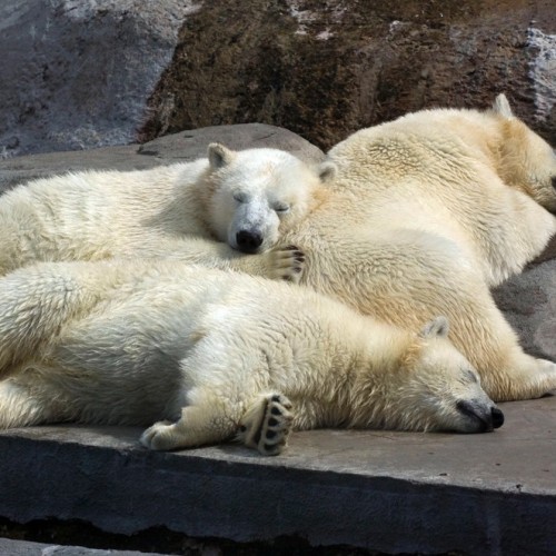 Семейное путешествие в Москву: прогулка с фонарщиком, детективная экскурсия и «Мосфильм»