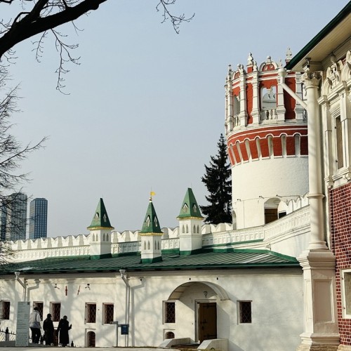 Царственные насельницы Новодевичьего монастыря