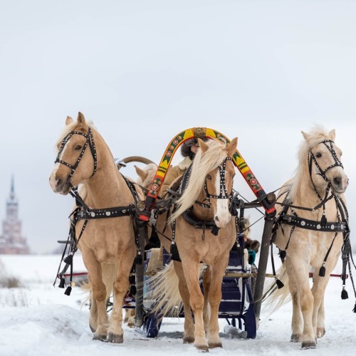 Новогодний выезд во Владимир и Суздаль с праздничной программой в стиле фильма «Чародеи»