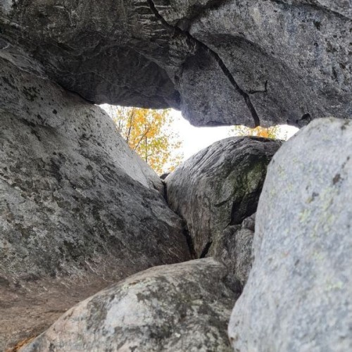 Детокс в Карелии: место силы, дары леса и походная романтика (всё включено)