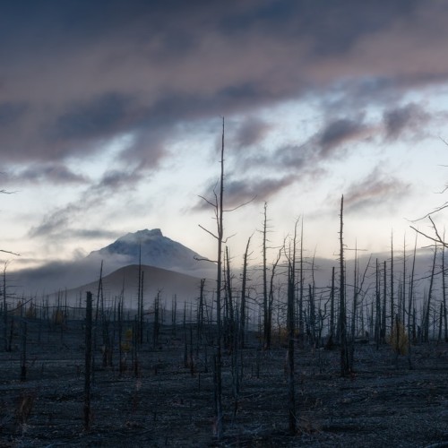 Большое путешествие по Камчатке: вулканы, глэмпинг в Мёртвом лесу и круиз в бухту Русская