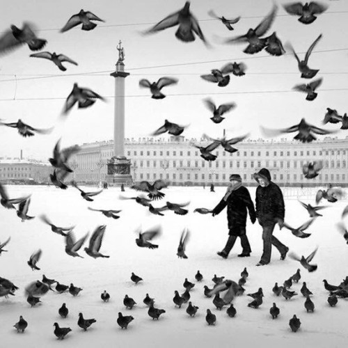 Научитесь снимать Петербург как профессионал: мастер-класс на улицах города