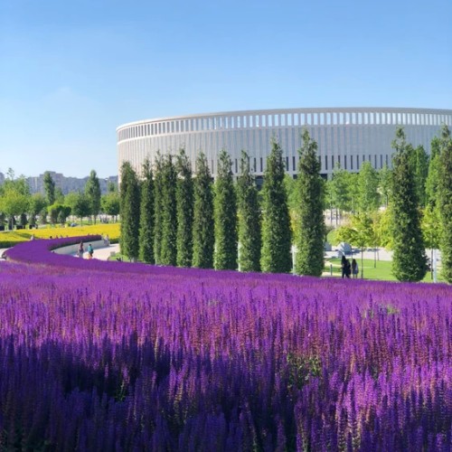 Кубань и Адыгея: казачьи традиции, горы и вина