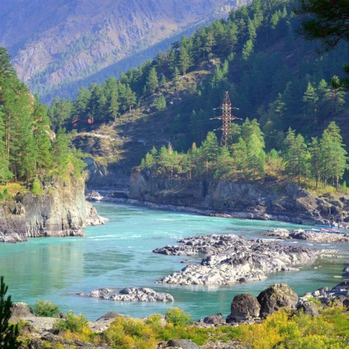 По цветущему Алтаю верхом: конный тур с проживанием на базе (всё включено)