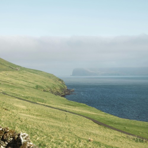 VIP-круиз с экспертами и музыкантами от Камчатки до Чукотки (всё включено)