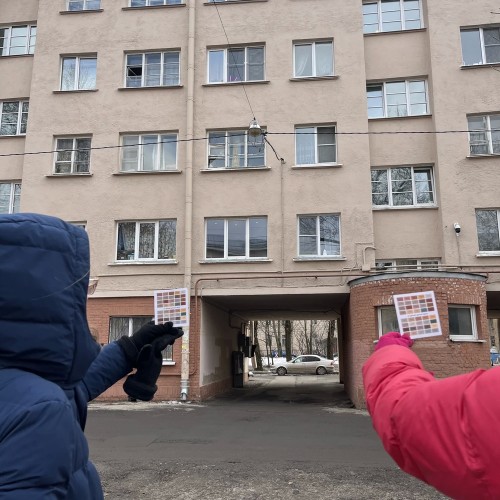 Колористическая экскурсия «40 цветов против серого»