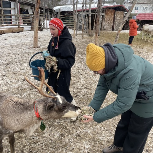 Своей компанией на Русский Север: Мурманск, Териберка, Кировск и саамы