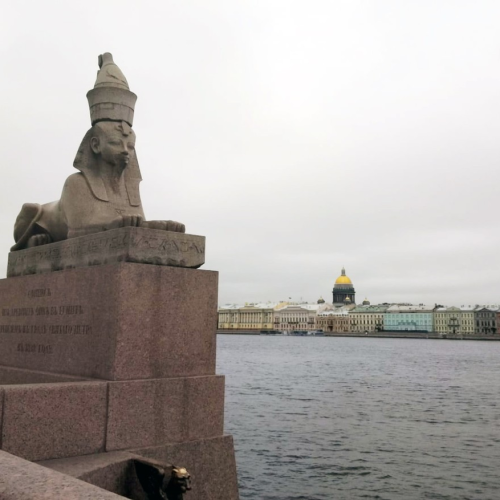 Мобильный квест «Кто украл питомца аптекаря Пеля»