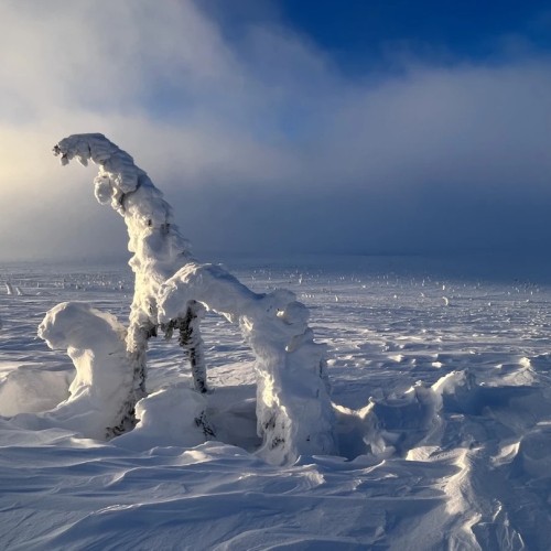 В самое сердце Северного Урала: путешествие «всё включено» на плато Маньпупунёр