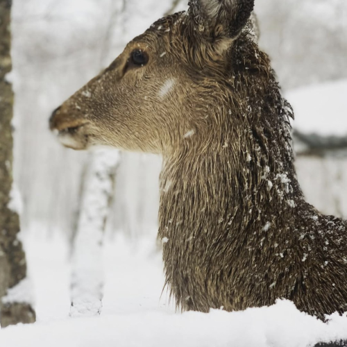 Индивидуальная перезагрузка на берегу заповедной бухты Петрова
