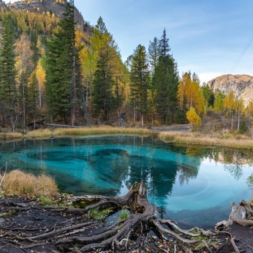 В роли кочевника на Алтае: обряды, сакральные места и дегустации традиционных блюд