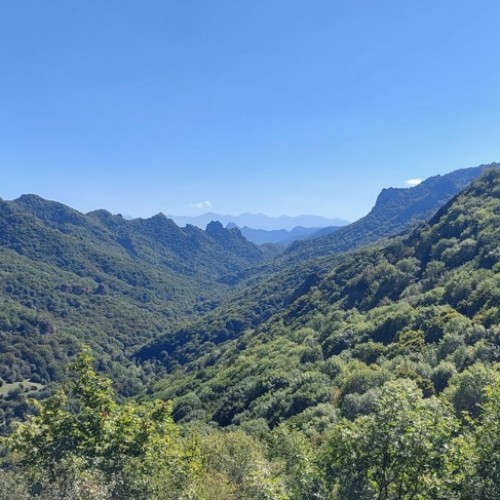 4 города Кавказских Минеральных Вод и Домбай в индивидуальном формате