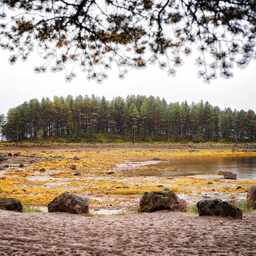 Край света в кадре: индивидуальное фотопутешествие по Терскому берегу с экскурсиями