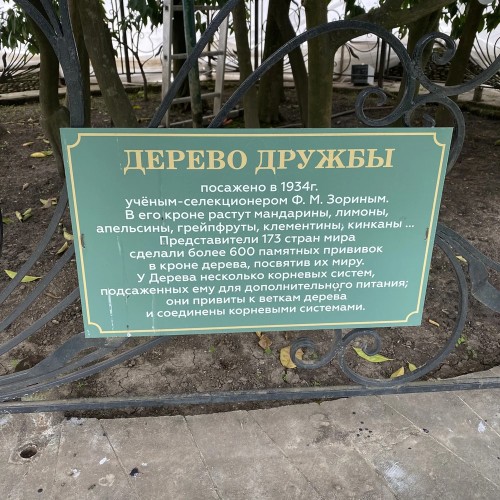 Удивительный Сочи: знакомство с городом