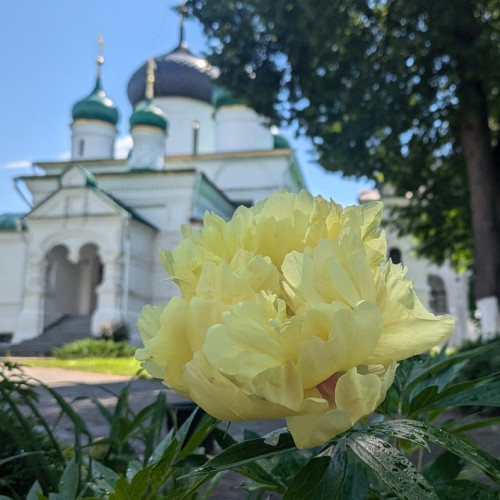 Знакомьтесь, Переславль!