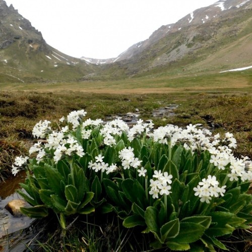 За раз весь Северный Кавказ: большое путешествие по всем республикам
