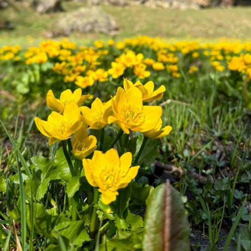 Весенний Архыз: треккинг налегке с проживанием в гостинице