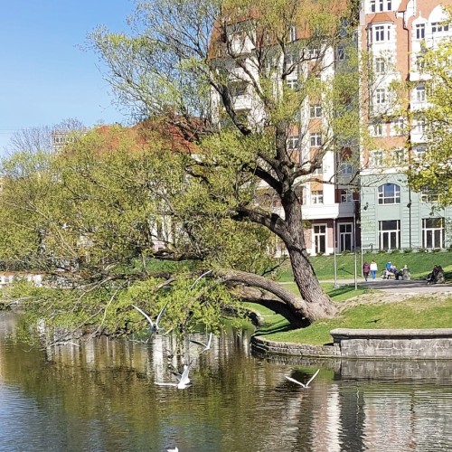 Кёнигсберг — Калининград: город на перекрёстке эпох