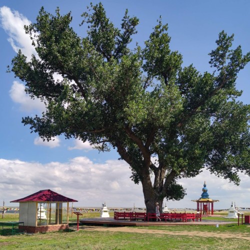 Тур-погружение в культуру Калмыкии: от степных легенд до буддийских святынь