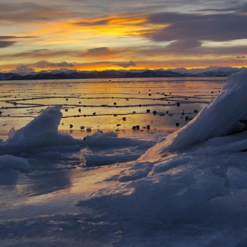 В мини-группе на Камчатку всей семьёй: вулканы, термальные источники и погружение в быт