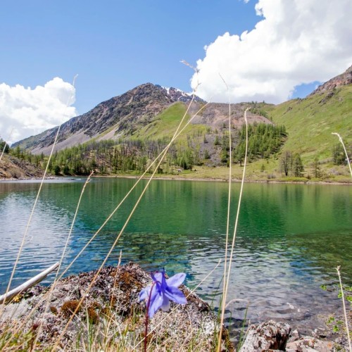 Алтай — активный: конная прогулка, лёгкий сплав и треккинг к горным озёрам + топовые локации