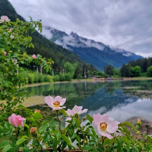 А давай в Домбай? Треккинг без рюкзаков