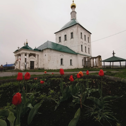 Тайны железного короля — Касимов и Гусь-Железный на вашем транспорте