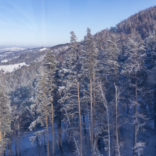 Топовые места Алтая в мини-группе: Гейзерное озеро, Чуйский тракт, долина Горных духов и Патмос