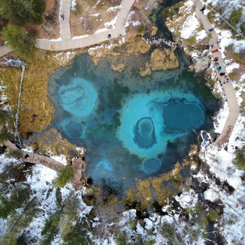 Когда Алтай оживает: цветение маральника, озёра и перевалы Чуйского тракта (мини-группа)